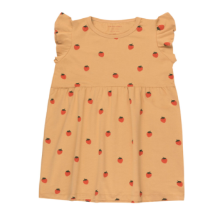 TINY COTTONS SS20_“STRAWBERRIES” DRESS toffee/red_타이니코튼 드레스